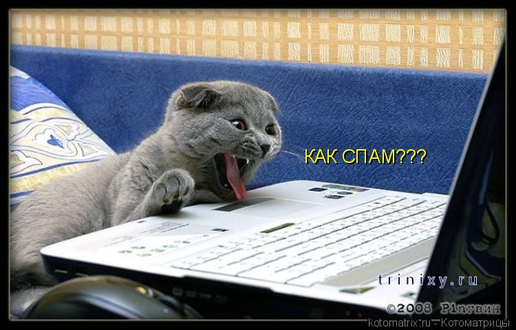 КАК СПАМ???... Котоматрица: КАК СПАМ???