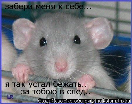 забери меня к себе... забери меня к себе... я так усал бежать.. я так устал бежать.. за тобою в след.... Котоматрица: забери меня к себе... забери меня к себе... я так усал бежать.. я так устал бежать.. за тобою в след..