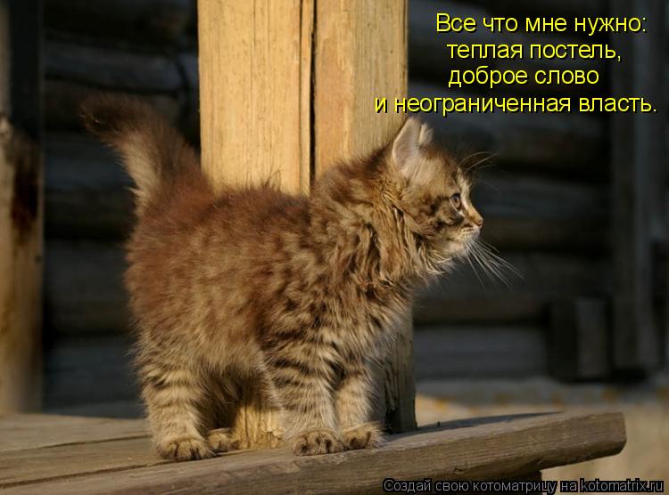 и неограниченная власть. доброе слово теплая постель, Все что мне нужно:... Котоматрица: и неограниченная власть. доброе слово теплая постель, Все что мне нужно: