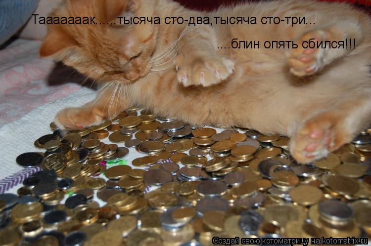 Тааааааак......тысяча сто-два,тысяча сто-три....блин опять сбился!!! Тааааааак......тысяча сто-два,ты... Котоматрица: Тааааааак......тысяча сто-два,тысяча сто-три....блин опять сбился!!! Тааааааак......тысяча сто-два,тысяча сто-три... ....блин опять сбился!!!