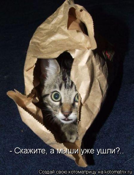 - Скажите, а мыши уже ушли?..... Котоматрица: - Скажите, а мыши уже ушли?..