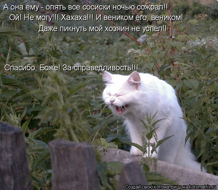Ой! Не могу!!! Хахаха!!! И веником его, веником! А она ему - опять все сосиски ночью сожрал!! Даже пи... Котоматрица: Ой! Не могу!!! Хахаха!!! И веником его, веником! А она ему - опять все сосиски ночью сожрал!! Даже пикнуть мой хозяин не успел!! Спасибо, Боже! За с