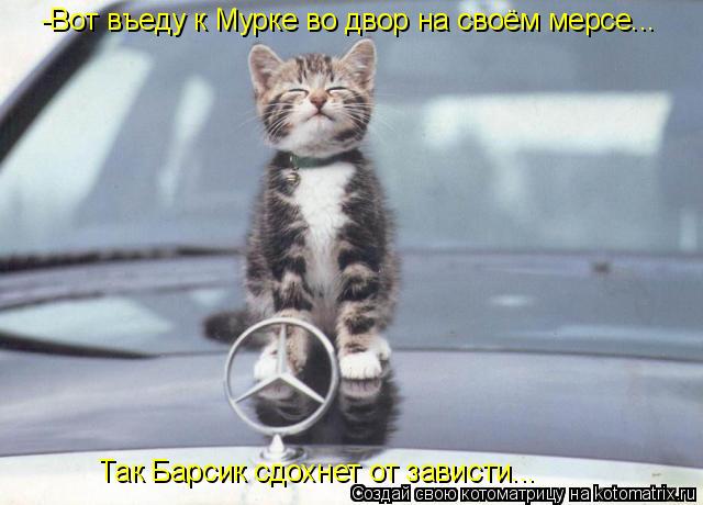 -Вот въеду к Мурке во двор на своём мерсе... Так Барсик сдохнет от зависти...... Котоматрица: -Вот въеду к Мурке во двор на своём мерсе... Так Барсик сдохнет от зависти...