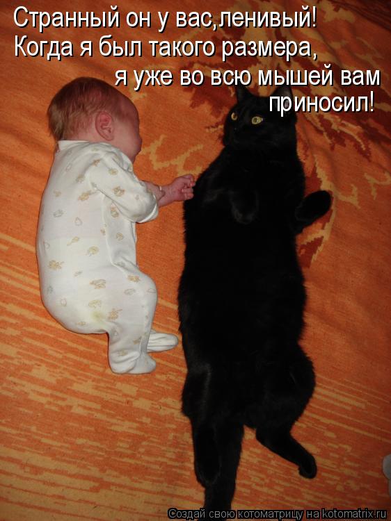 Странный он у вас,ленивый! Когда я был такого размера, я уже во всю мышей вам приносил!... Котоматрица: Странный он у вас,ленивый! Когда я был такого размера, я уже во всю мышей вам приносил!