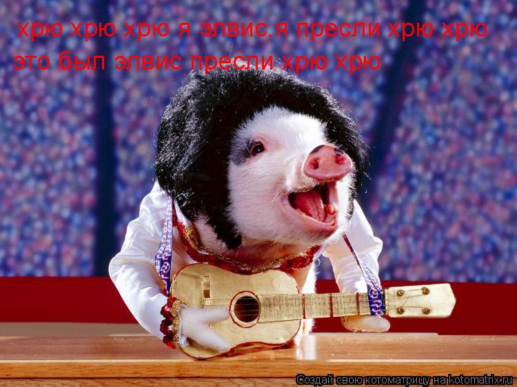 хрю хрю хрю я элвис,я пресли хрю хрю это был элвис пресли хрю хрю... Котоматрица: хрю хрю хрю я элвис,я пресли хрю хрю это был элвис пресли хрю хрю