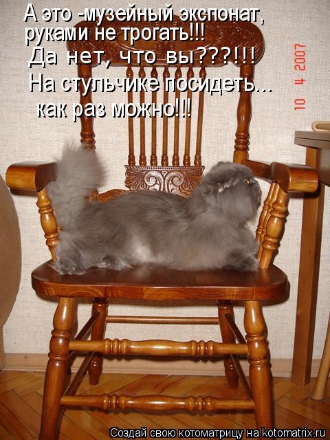 А это -музейный экспонат, руками не трогать!!! Да нет, что вы???!!! На стульчике посидеть... как раз... Котоматрица: А это -музейный экспонат, руками не трогать!!! Да нет, что вы???!!! На стульчике посидеть... как раз можно!!!