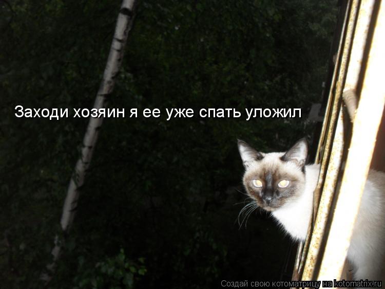 Заходи хозяин я ее уже спать уложил... Котоматрица: Заходи хозяин я ее уже спать уложил