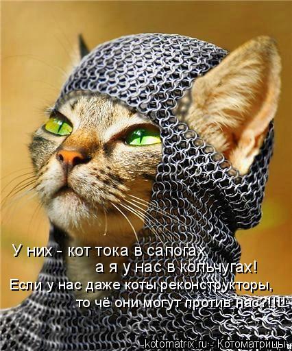 У них - кот тока в сапогах, а я у нас в кольчугах! Если у нас даже коты реконструкторы, то чё они мо... Котоматрица: У них - кот тока в сапогах, а я у нас в кольчугах! Если у нас даже коты реконструкторы, то чё они могут против нас?!!!!