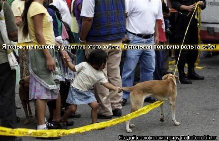 Я только на половину участник этого забега. Остольная половина вольна себе!... Котоматрица: Я только на половину участник этого забега. Остольная половина вольна себе!