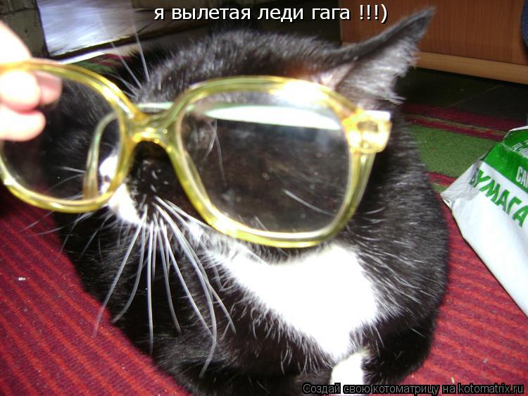 я вылетая леди гага !!!)... Котоматрица: я вылетая леди гага !!!)