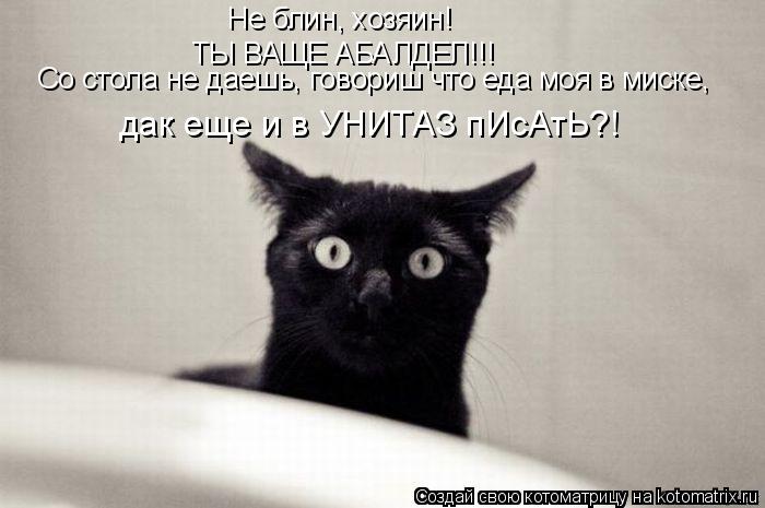 Не блин, хозяин! ТЫ ВАЩЕ АБАЛДЕЛ!!! Со стола не даешь, говориш что еда моя в миске, дак еще и в УНИТА... Котоматрица: Не блин, хозяин! ТЫ ВАЩЕ АБАЛДЕЛ!!! Со стола не даешь, говориш что еда моя в миске, дак еще и в УНИТАЗ пИсАтЬ?!