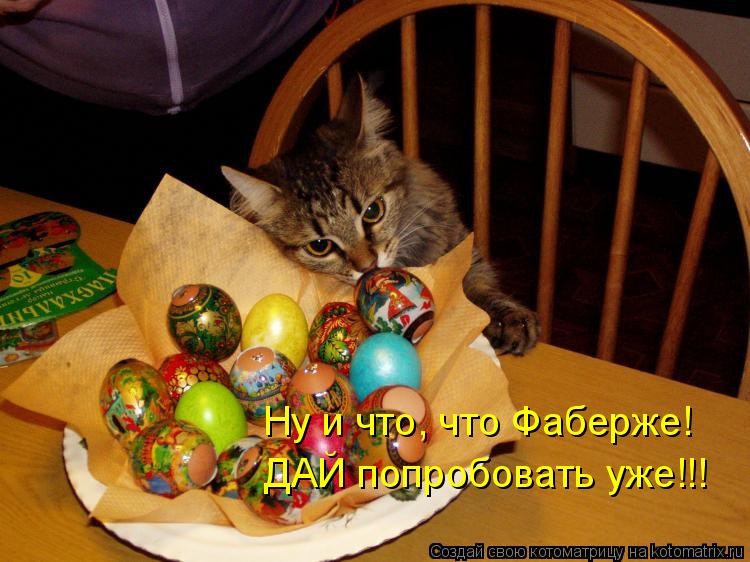 Ну и что, что Фаберже! ДАЙ попробовать уже!!!... Котоматрица: Ну и что, что Фаберже! ДАЙ попробовать уже!!!