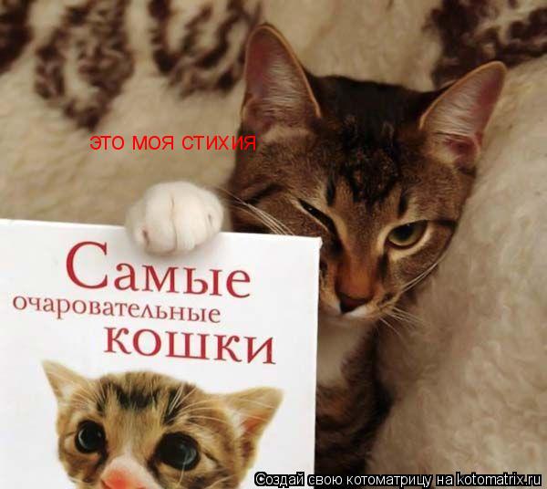 это моя стихия... Котоматрица: это моя стихия