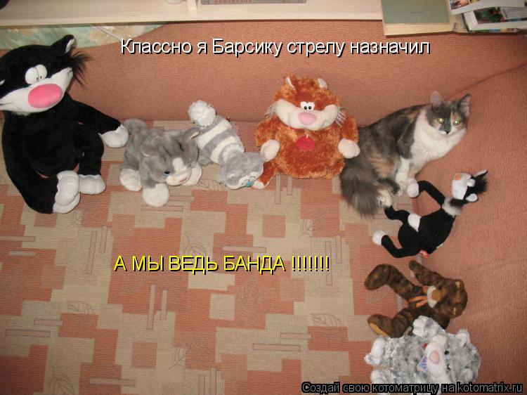 Классно я Барсику стрелу назначил А МЫ ВЕДЬ БАНДА !!!!!!!... Котоматрица: Классно я Барсику стрелу назначил А МЫ ВЕДЬ БАНДА !!!!!!!