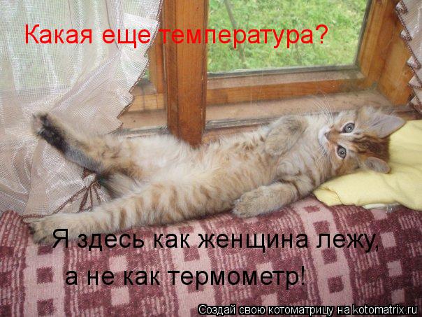 Какая еще температура? Я здесь как женщина лежу, а не как термометр!... Котоматрица: Какая еще температура? Я здесь как женщина лежу, а не как термометр!