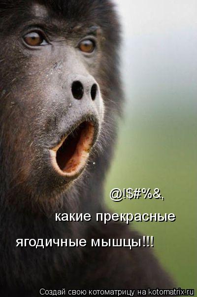 @!$#%&, какие прекрасные ягодичные мышцы!!!... Котоматрица: @!$#%&, какие прекрасные ягодичные мышцы!!!