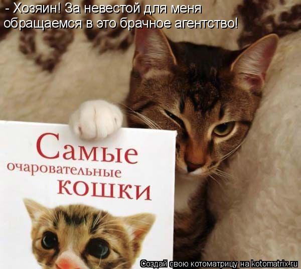 - Хозяин! За невестой для меня обращаемся в это брачное агентство!... Котоматрица: - Хозяин! За невестой для меня обращаемся в это брачное агентство!