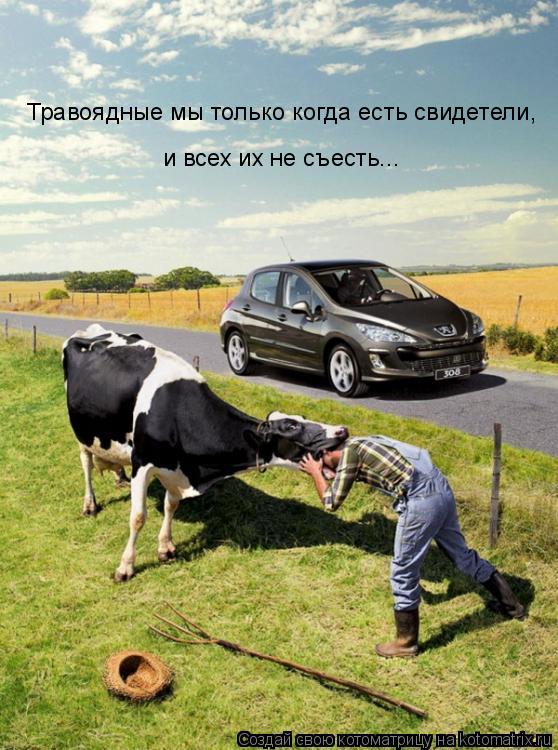 Котоматрица: Травоядные мы только когда есть свидетели, и всех их не съесть...