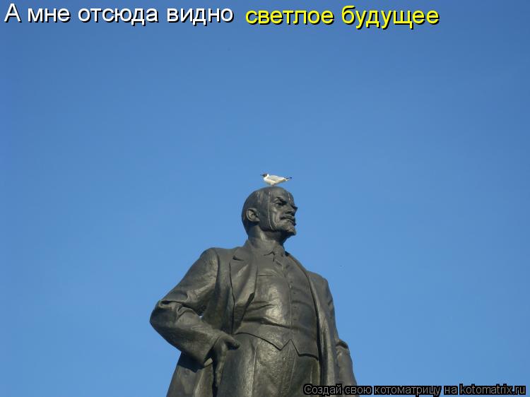 А мне отсюда видно светлое будущее... Котоматрица: А мне отсюда видно светлое будущее
