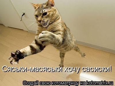 Сяськи-масяськи хочу сасиски!... Котоматрица: Сяськи-масяськи хочу сасиски!
