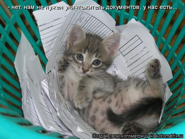 Котоматрица: - нет, нам не нужен уничтожитель документов, у нас есть...