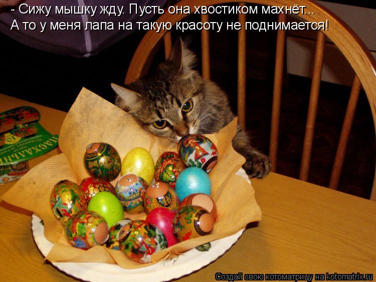 - Сижу мышку жду. Пусть она хвостиком махнёт... А то у меня лапа на такую красоту не поднимается!... Котоматрица: - Сижу мышку жду. Пусть она хвостиком махнёт... А то у меня лапа на такую красоту не поднимается!