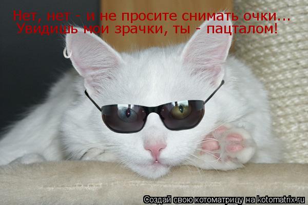 Нет, нет - и не просите снимать очки... Увидишь мои зрачки, ты - пацталом!... Котоматрица: Нет, нет - и не просите снимать очки... Увидишь мои зрачки, ты - пацталом!