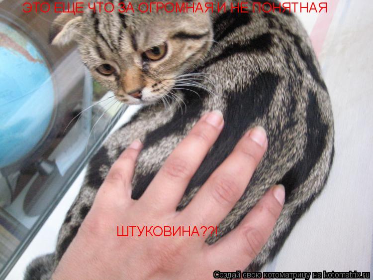 ЭТО ЕЩЕ ЧТО ЗА ОГРОМНАЯ И НЕ ПОНЯТНАЯ ШТУКОВИНА??!... Котоматрица: ЭТО ЕЩЕ ЧТО ЗА ОГРОМНАЯ И НЕ ПОНЯТНАЯ ШТУКОВИНА??!