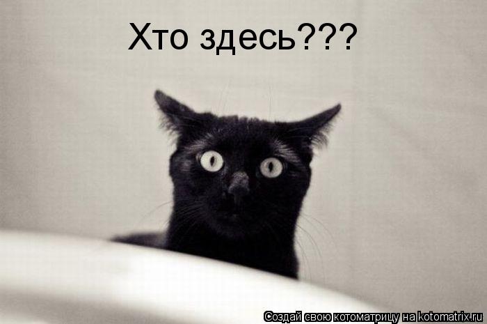 Хто здесь???... Котоматрица: Хто здесь???