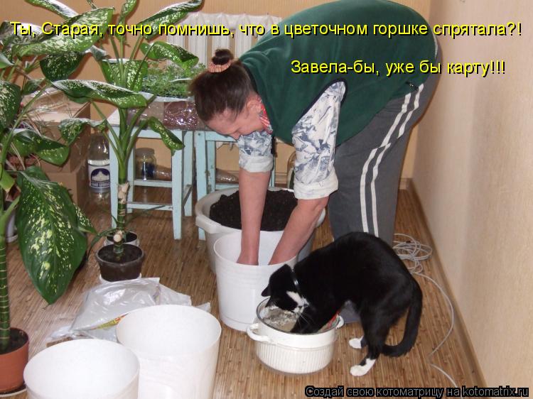 Ты, Старая, точно помнишь, что в цветочном горшке спрятала?! Завела-бы, уже бы карту!!!... Котоматрица: Ты, Старая, точно помнишь, что в цветочном горшке спрятала?! Завела-бы, уже бы карту!!!