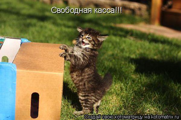 Свободная касса!!!... Котоматрица: Свободная касса!!!