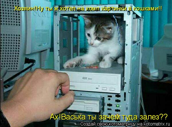 Ах!Васька ты зачем туда залез?? Хозяин!Ну ты ж хотел на комп картинки в кошками!!... Котоматрица: Ах!Васька ты зачем туда залез?? Хозяин!Ну ты ж хотел на комп картинки в кошками!!