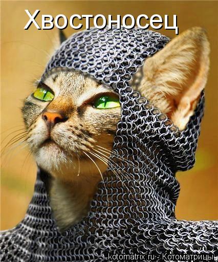 Котоматрица: Хвостоносец
