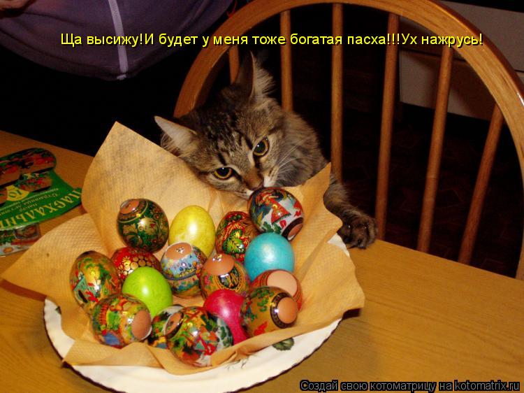 Котоматрица: Ща высижу!И будет у меня тоже богатая пасха!!!Ух нажрусь!