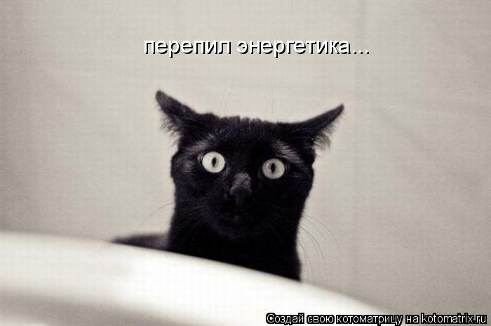Котоматрица: перепил энергетика...
