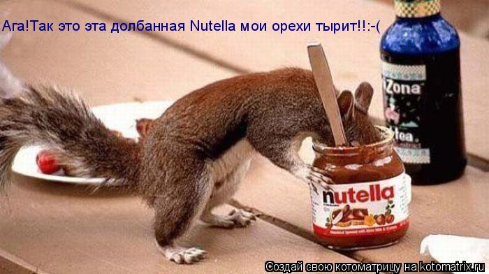 Котоматрица: Ага!Так это эта долбанная Nutella мои орехи тырит!!:-(