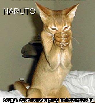 Котоматрица: NARUTO