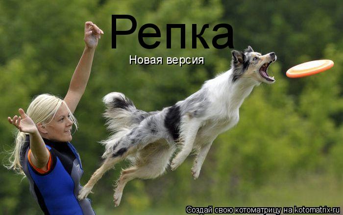 Котоматрица: Репка Новая версия