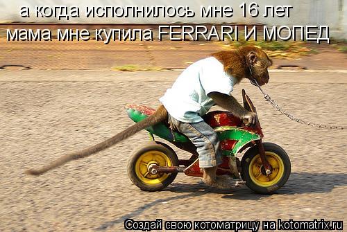 Котоматрица: а когда исполнилось мне 16 лет мама мне купила FERRARI И МОПЕД