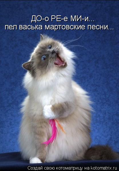 ДО-о РЕ-е МИ-и... пел васька мартовские песни...... Котоматрица: ДО-о РЕ-е МИ-и... пел васька мартовские песни...