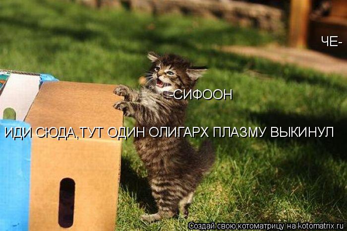 -СИФООН ЧЕ- ИДИ СЮДА,ТУТ ОДИН ОЛИГАРХ ПЛАЗМУ ВЫКИНУЛ... Котоматрица: -СИФООН ЧЕ- ИДИ СЮДА,ТУТ ОДИН ОЛИГАРХ ПЛАЗМУ ВЫКИНУЛ