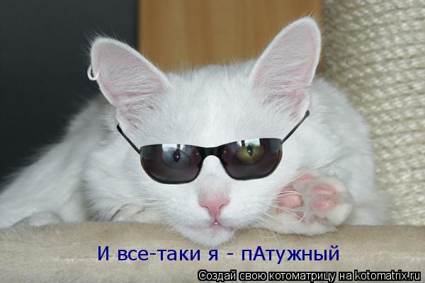 И все-таки я - пАтужный... Котоматрица: И все-таки я - пАтужный