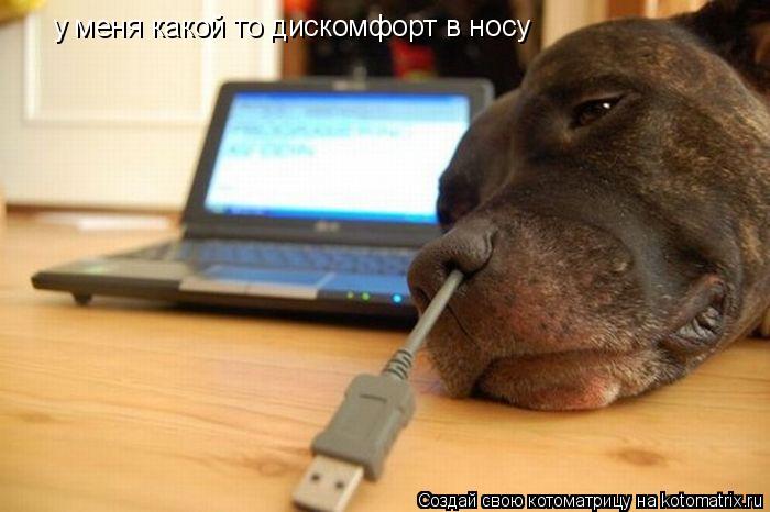 у меня какой то дискомфорт в носу... Котоматрица: у меня какой то дискомфорт в носу