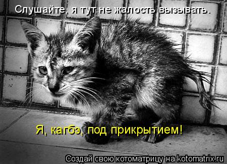 Слушайте, я тут не жалость вызывать. Я, кагбэ, под прикрытием!... Котоматрица: Слушайте, я тут не жалость вызывать. Я, кагбэ, под прикрытием!