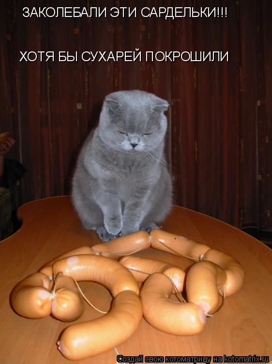 ЗАКОЛЕБАЛИ ЭТИ САРДЕЛЬКИ!!! ХОТЯ БЫ СУХАРЕЙ ПОКРОШИЛИ... Котоматрица: ЗАКОЛЕБАЛИ ЭТИ САРДЕЛЬКИ!!! ХОТЯ БЫ СУХАРЕЙ ПОКРОШИЛИ