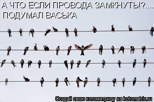 Котоматрица: А ЧТО ЕСЛИ ПРОВОДА ЗАМКНУТЬ!?.... ПОДУМАЛ ВАСЬКА