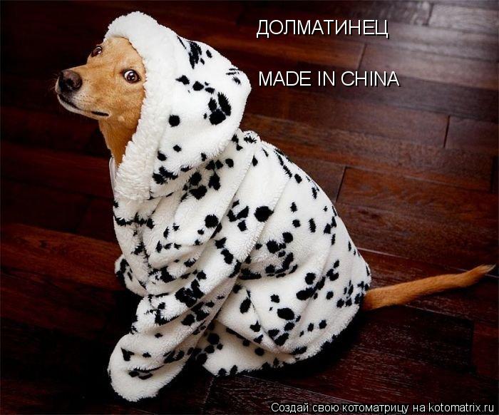 Котоматрица: ДОЛМАТИНЕЦ MADE IN CHINA