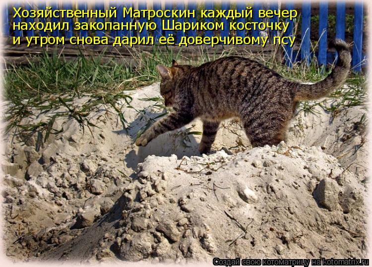 Котоматрица: Хозяйственный Матроскин каждый вечер находил закопанную Шариком косточку и утром снова дарил её доверчивому псу