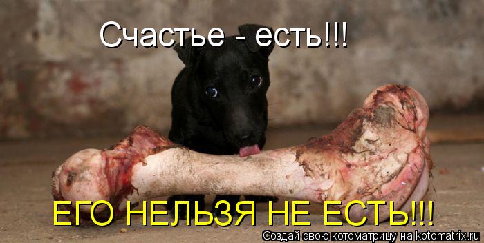 Котоматрица: Счастье - есть!!! ЕГО НЕЛЬЗЯ НЕ ЕСТЬ!!!