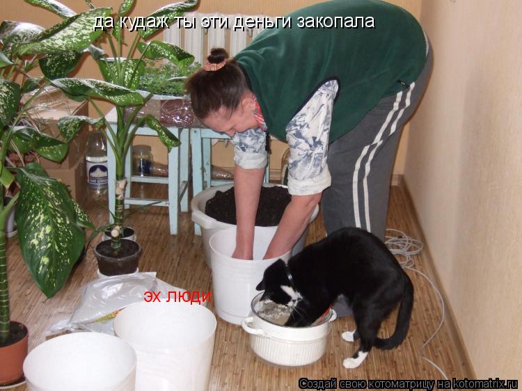 да кудаж ты эти деньги закопала эх люди... Котоматрица: да кудаж ты эти деньги закопала эх люди